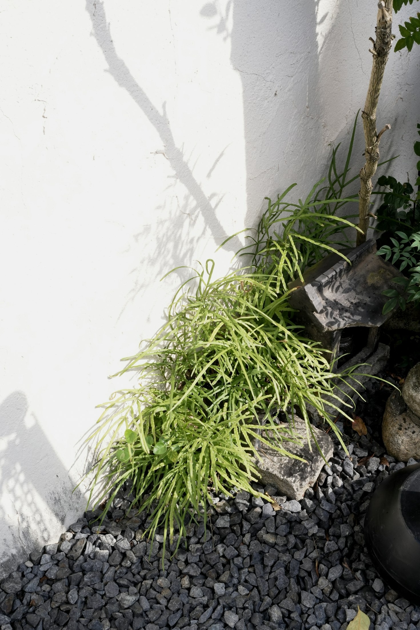 Tendencias en piedras decorativas para este año